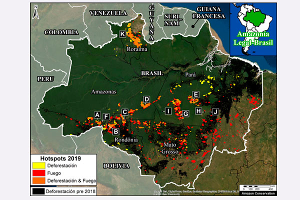 Realidad natural: Llamados a defender los bosques