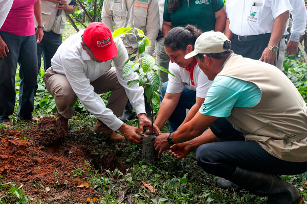 Realidad natural: Llamados a defender los bosques