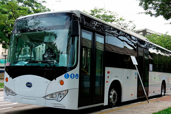 Transición ecológica: Oportunidad de reconstrucción