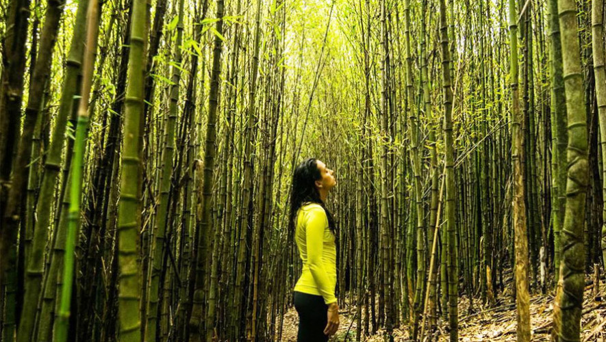 Guatemala: El país de la eterna primavera