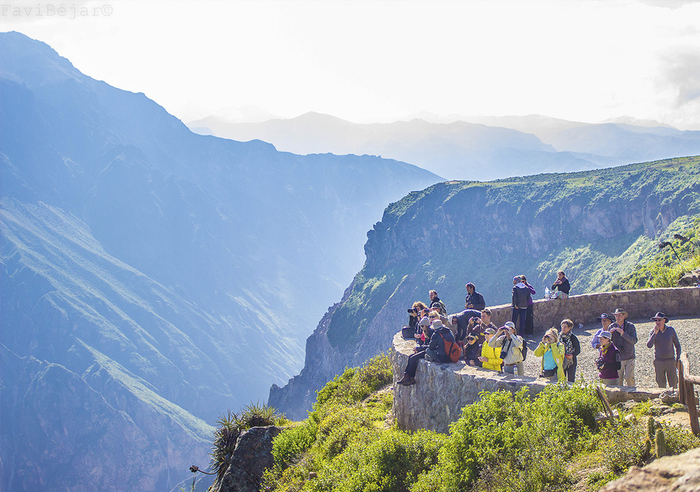 Cañon del Colca está nominado como “Mejor atracción turística natural” del mundo