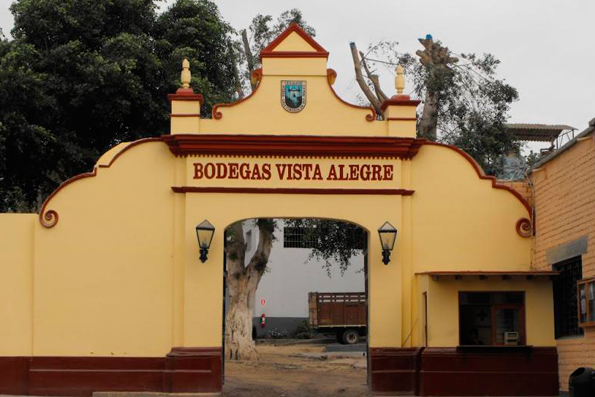 Ica: Región de viñedos