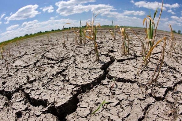 Efectos climáticos: Región golpeada