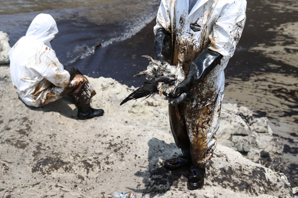 De negligencia industrial a desastre ecológico