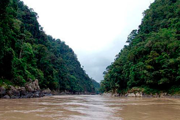 Invaluable recurso: El mundo de los bosques