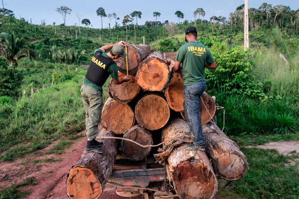América unida: Medidas urgentes para proteger la Amazonía