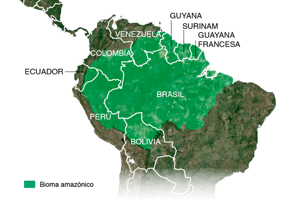 América unida: Medidas urgentes para proteger la Amazonía