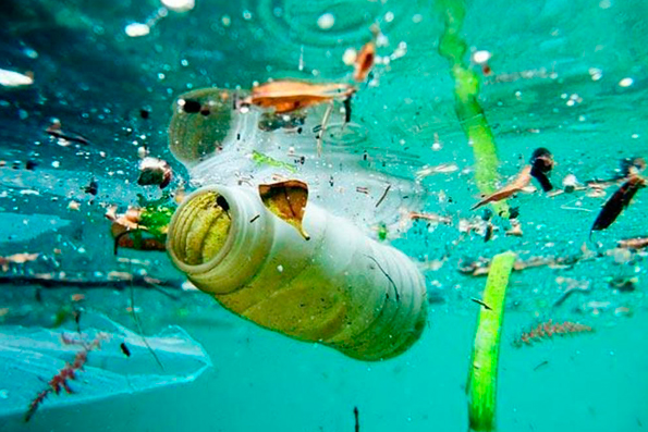 Crisis medioambiental: Necesidad de acciones inmediatas