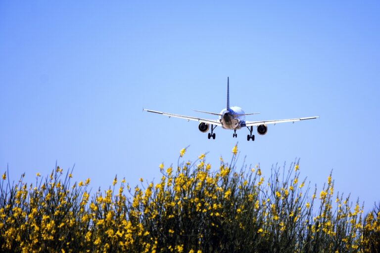 Despegue de un avión -Imagen de Sonia Grases en Pixabay