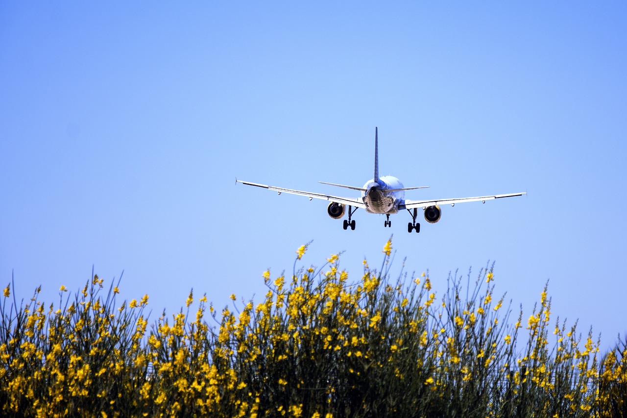 Despegue de un avión -Imagen de Sonia Grases en Pixabay
