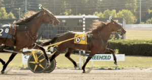 Nueva Jersey Freehold Raceway - Revista Casino Perú